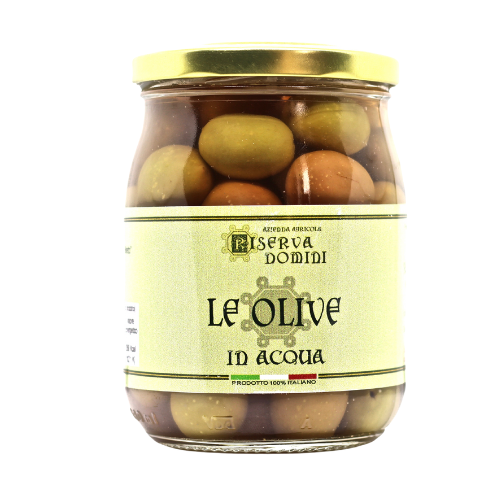 Le Olive in Salamoia di Riserva Domini - 480gr